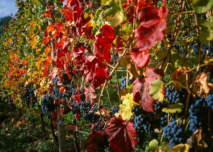 Bed & Breakfast Da Nonno Gianni 3*